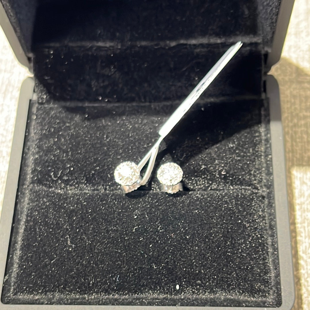 Vera Wang halo studs - 14KW - 0.50ctw F/SI1 - Natural diamond - 34141